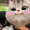 lillyyyyyyyy03