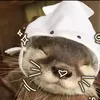 timcachyeuanh