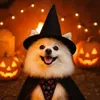 mypetsfamily1