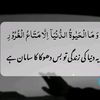 umer.ahmd