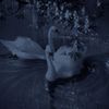 sugar_plum.fairy2005