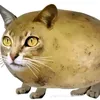 nameisthai