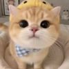 yiheng_nadhira29