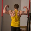 bernardfeliks
