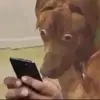 cosmicvibez0