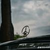 nihad_0013