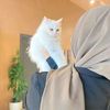 muntahafatima19