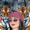 user1155197073728