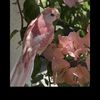 egbal_55