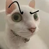 👽