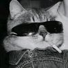fisher_jr