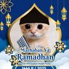 ketekya6
