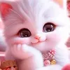cuteipie430