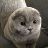 lance_is_not_here_rn_