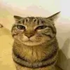 nixim.rev