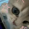 lovex.sunsh1ne