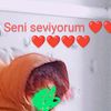 toprak.ozts