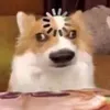 ducanhcheems