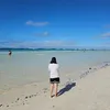 nguyenoijiayou