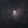 winniethepooh_291