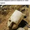 dosadnika0