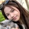 rinismi29