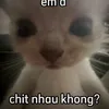 nhattbasan
