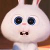 kecah.bimbarr3