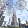 dubia.sheikh