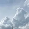 darko.z2