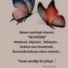 hayat.sevince.guz84