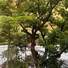 abdulaziz.d4