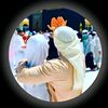 may.abd.elqader