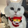 gavilucky5