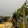 alisha.thapa807
