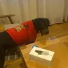 martynaprivspamm