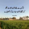 tariqsaleemtari95