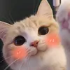 iluvnaturaldisaster