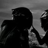 dar_win50