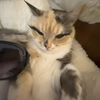 mi_alya05