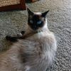 peggy.snider8
