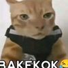 mirzadani_12