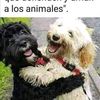 leticia93715