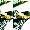 yousendaaa