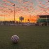chamosfc10