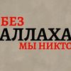 beliiylebed2