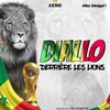 wourangdiallo335