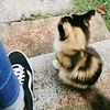 tiktok83546