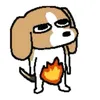 haominhh_