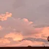 ganalamandagmail.com